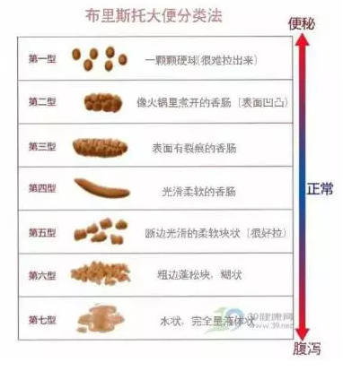 麻豆成人久久精品二区三区网站
