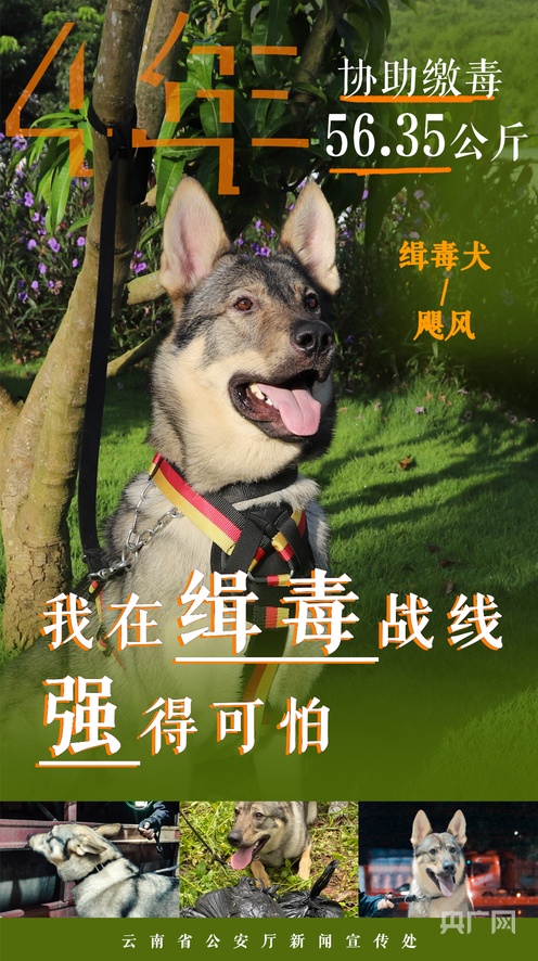 国产一级无码精品视频 还帮助创作者改进内容