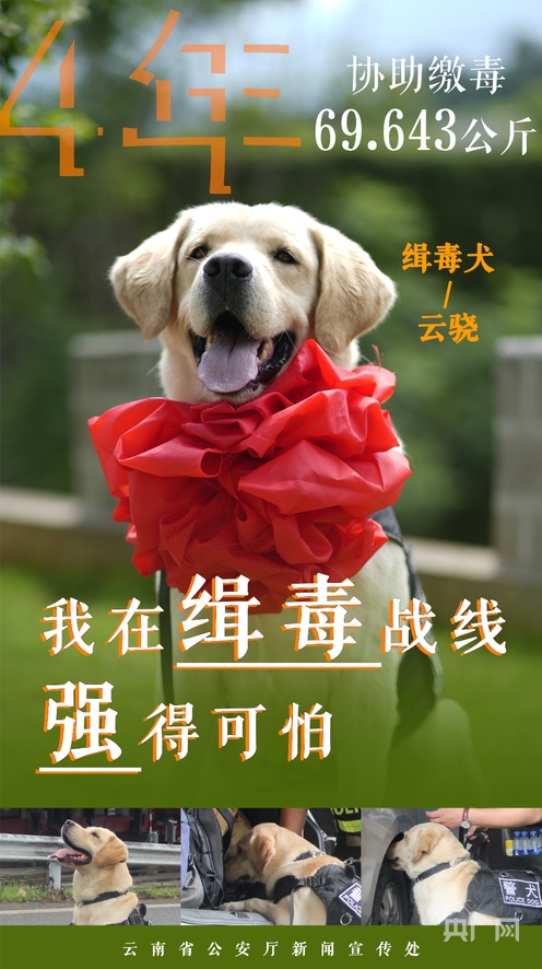 山东禾泓汇商贸有限公司 招标