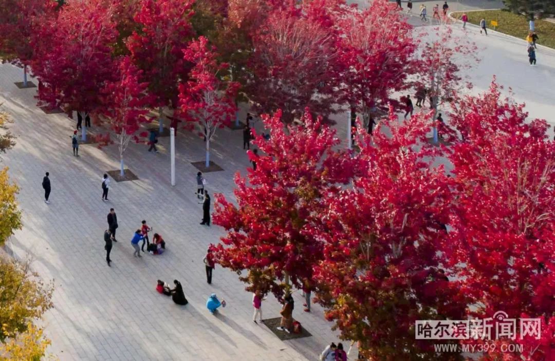 完美尤物 时代、完美尤物气质独特