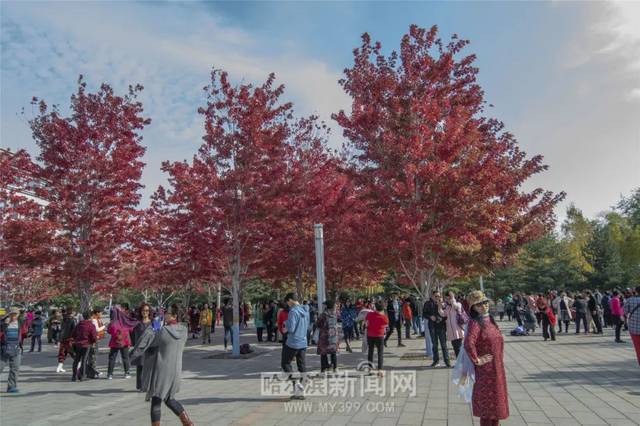 91黑料今日不打烊海角吃瓜官网51吃瓜网爆料网爆料黑料在线浏览 瓜官瓜网存在虚假爆料风险