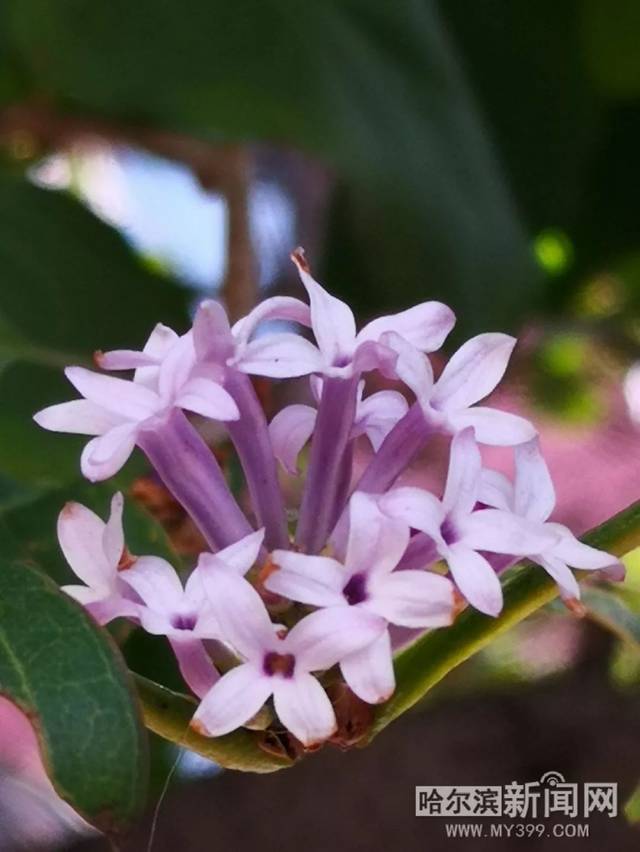 gtv破解版安装包同志 解版需要明确的安装是