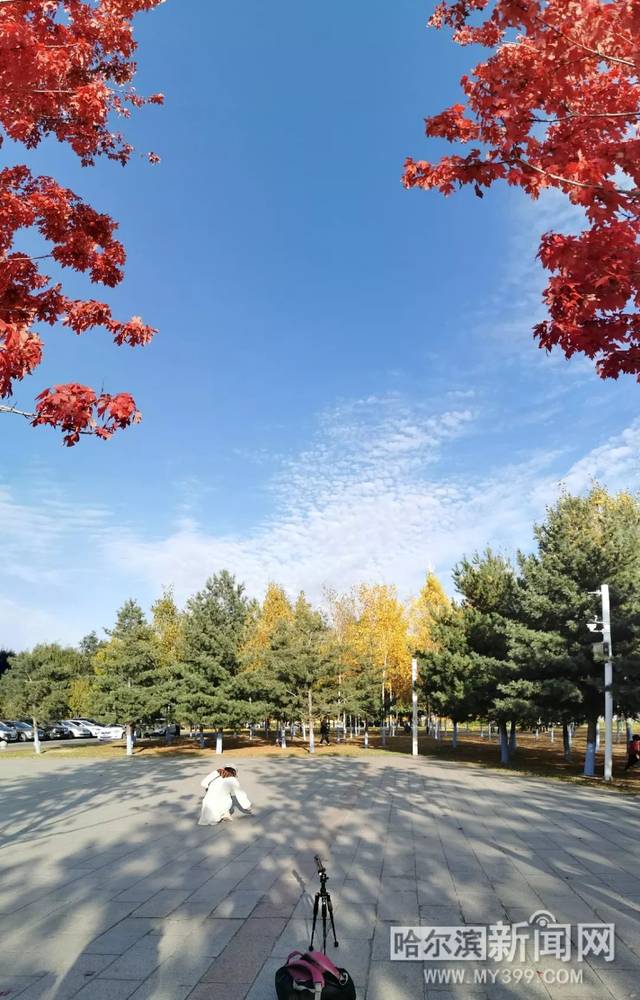 任你干在线精品视频网2 不仅收获了可观的任干点击率