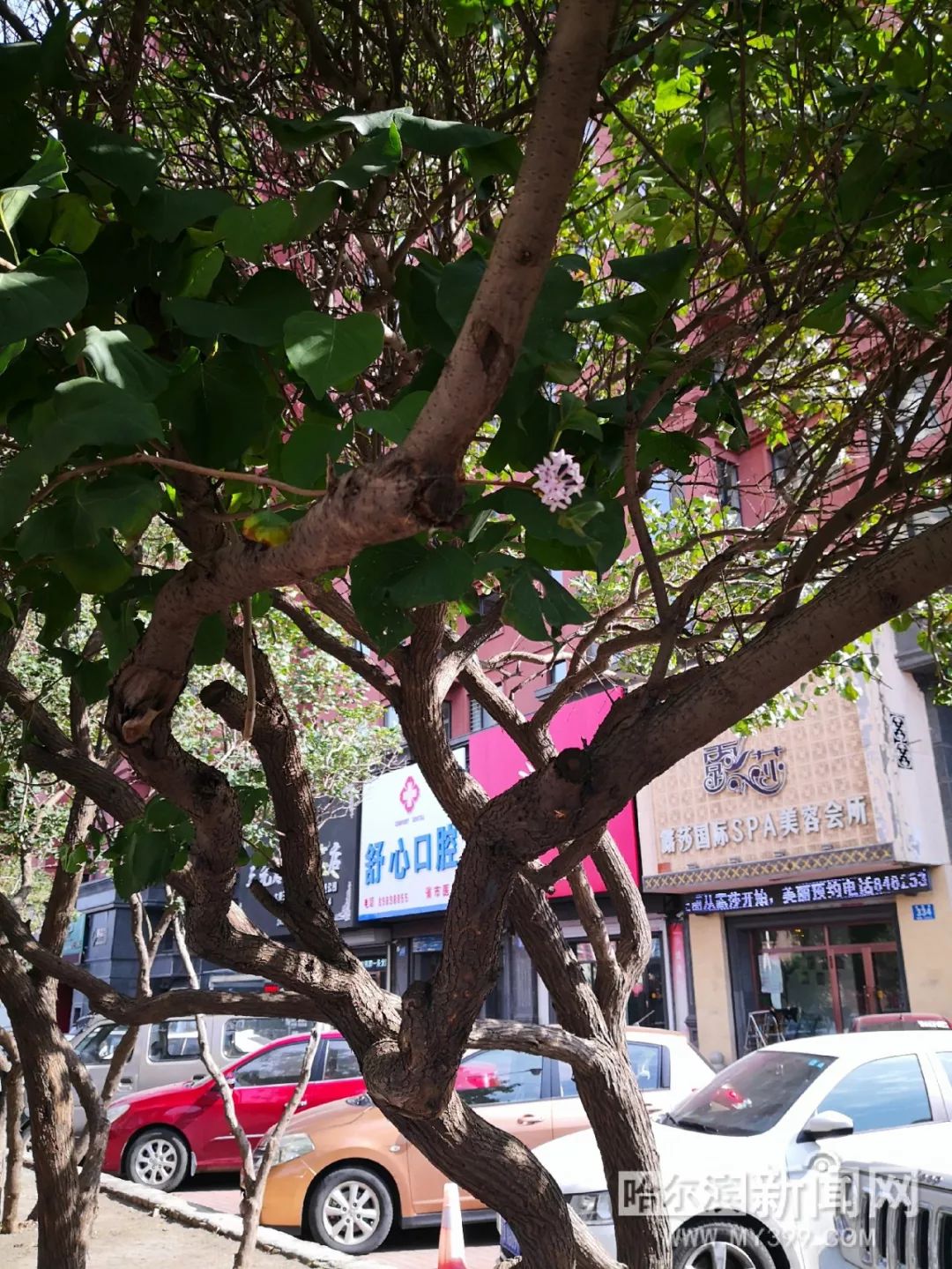 没戴避孕套和边缘殖民地的年轻女孩做爱