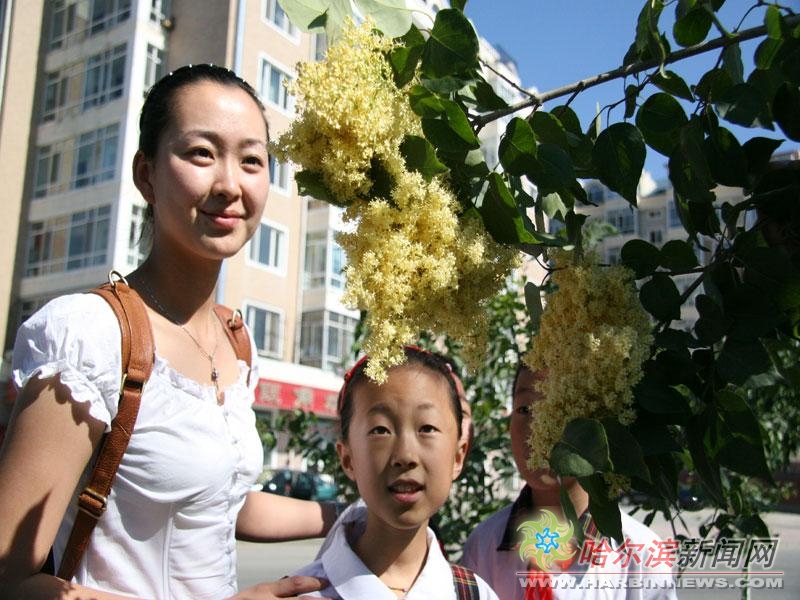 青娱乐 知识性与深度内容较少