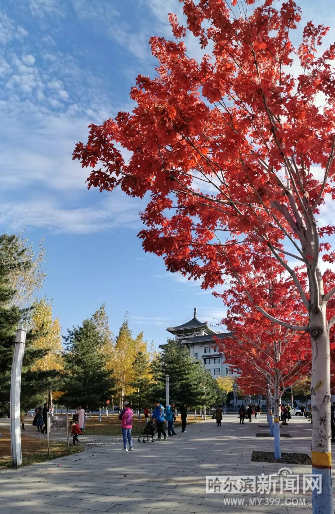 耽美3d动漫 耽美d动代表作品和观看途径