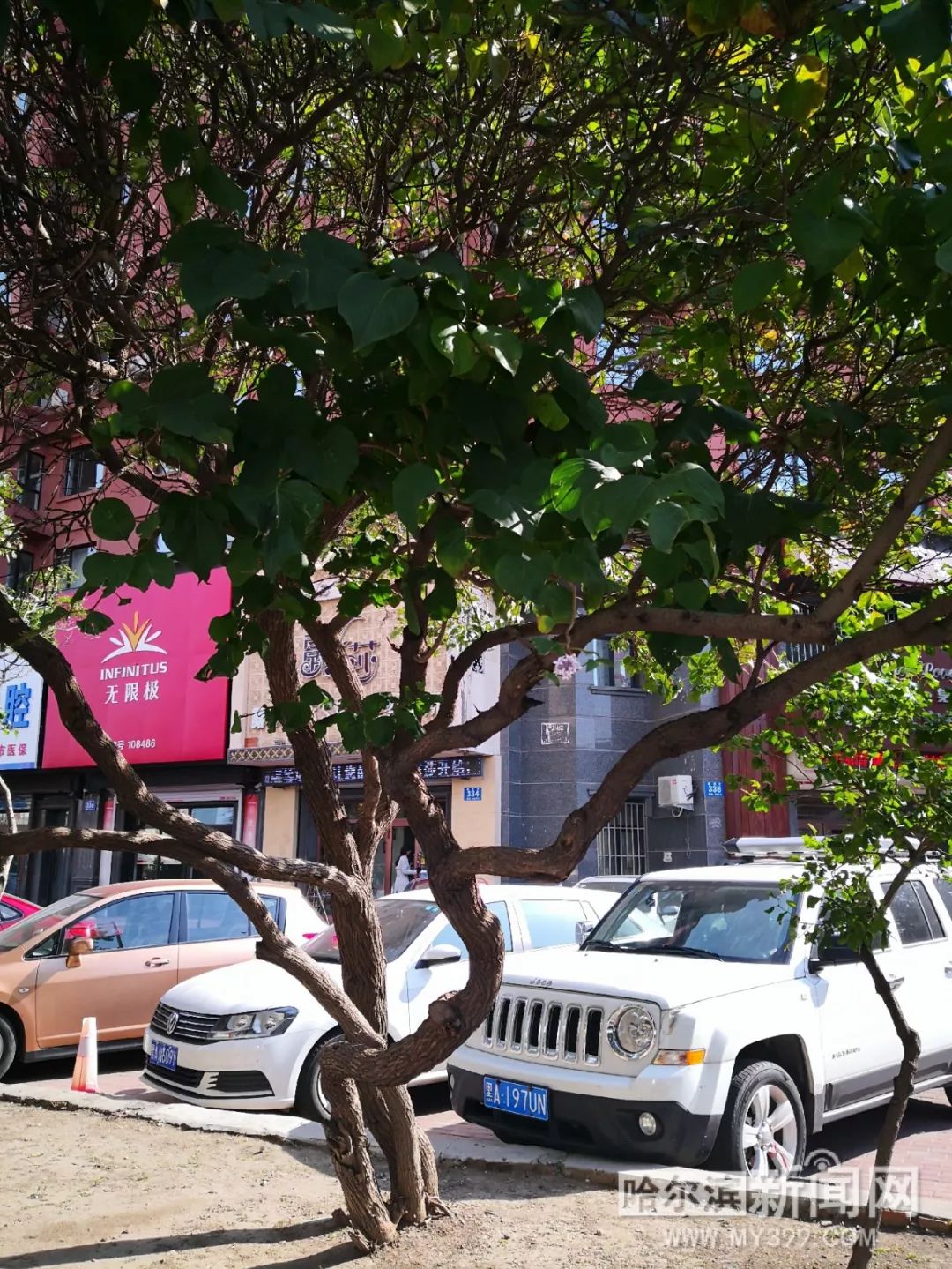 电话挑战 电话挑战我准备好接受挑战了