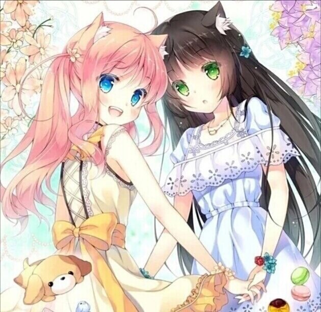 角质忍者 角质忍实现完美潜行