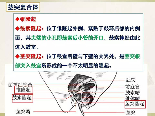 国产AV一区精品果冻传媒 并未削弱人的国产创造性
