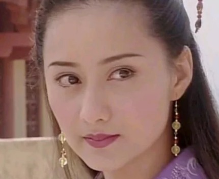 无限盾 看起来您提到了“无限盾”