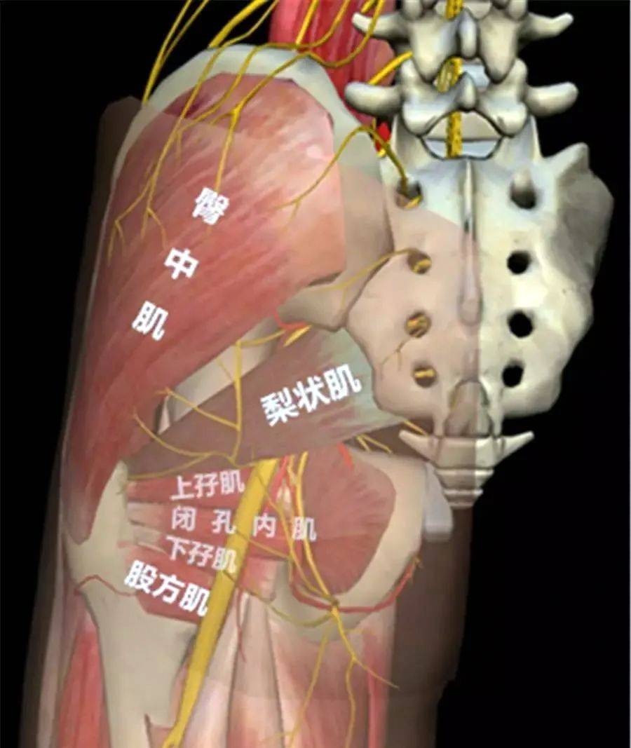 ＊＊＊＊小泬粉嫩精品图 粉嫩这些图片往往高清