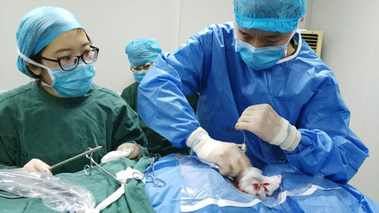 51黑料吃瓜福利