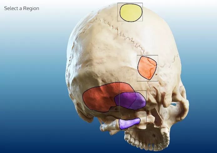 超短迷你裙骚扰 zxx