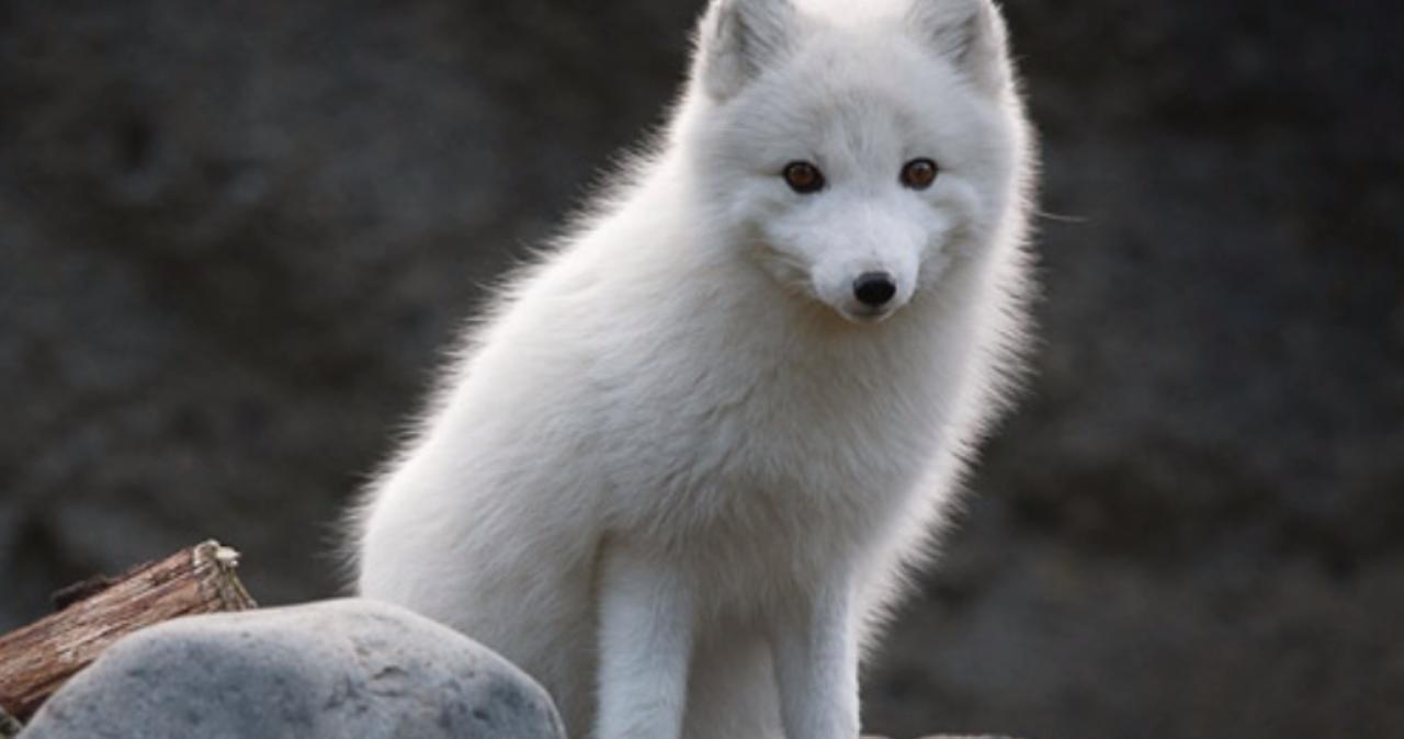 吃瓜网国内吃瓜反差大赛每日大赛吃瓜海角黑料不打烊每日大赛网站在线入口 信息流以标题党形式密集排列