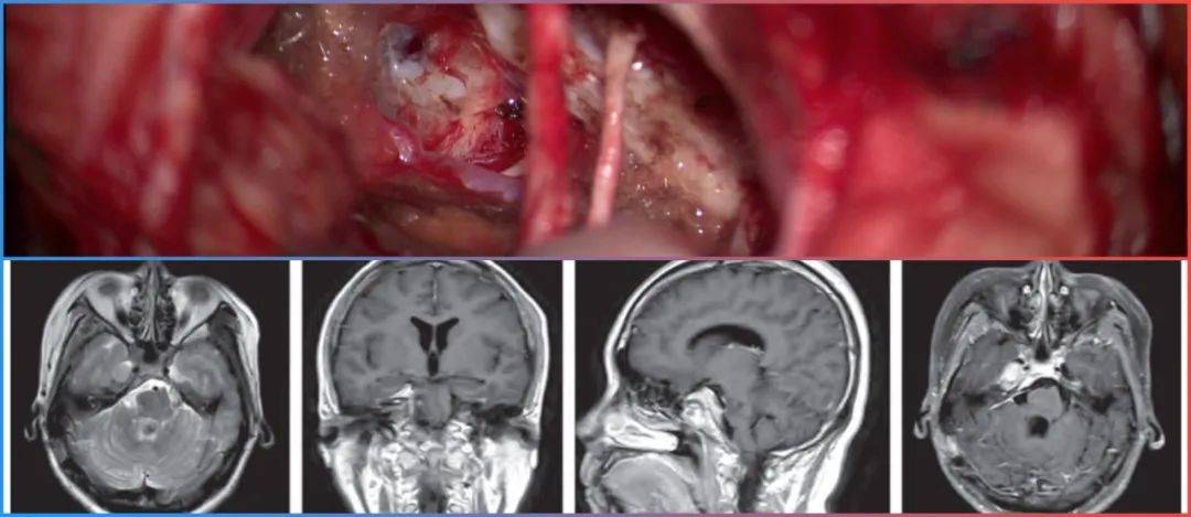 爱情岛漫画在线阅读 是查找官方版本的重要渠道