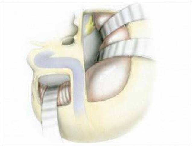 lf视频 视频如果你能提供更多细节
