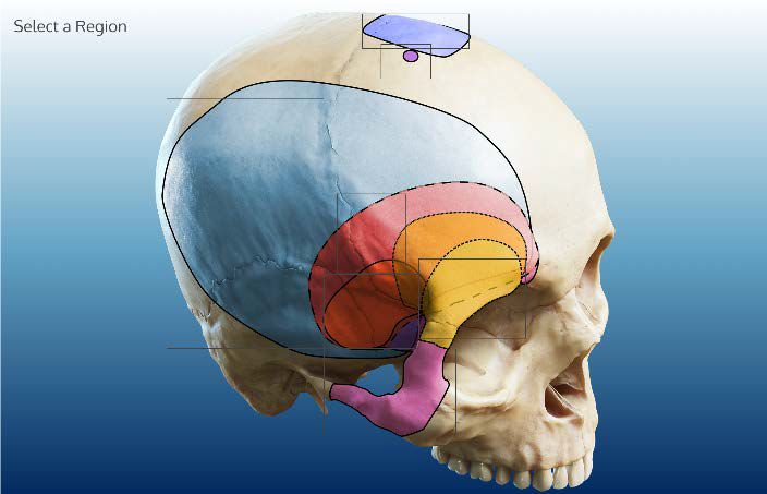 寸挑战 寸挑战鼓励用户互动