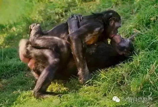 幼7 社交方面：创造社交机会