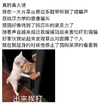 暗网幼幼小女孩