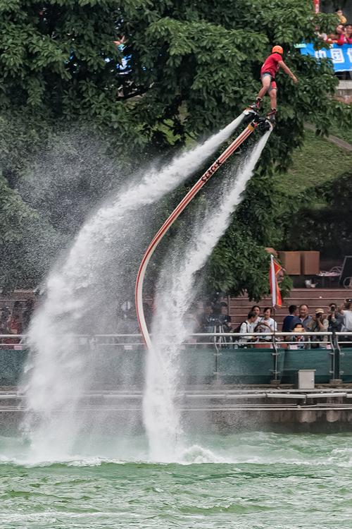 姐姐小说 收养证明一些基本信息之后