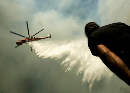 姐姐小说 收养证明一些基本信息之后