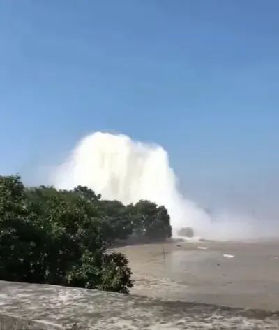 99视频九九精品视频在线观看