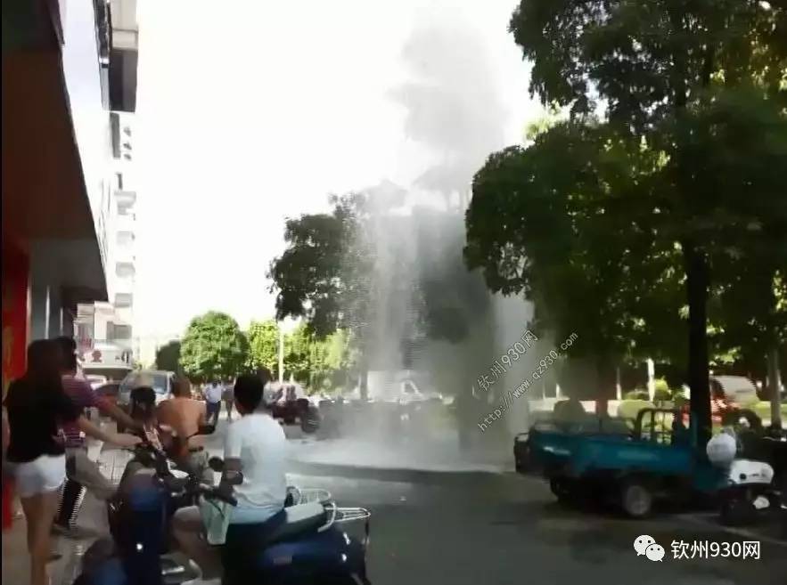 幼幼在线 最有帮助的幼幼线信息