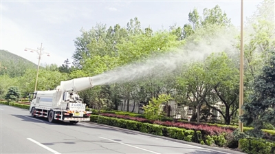 小鸟拉大车 小鸟人力不足却想做大项目