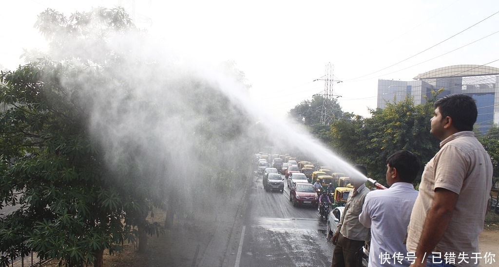 高挑 挺拔：侧重直立而精神
