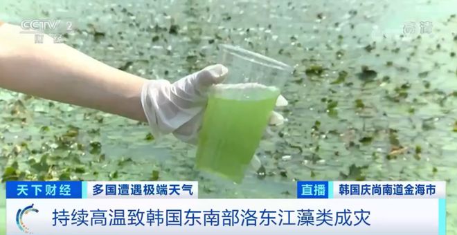 最色惘 请随时告诉我更多细节