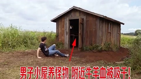 雨后小故事未删减