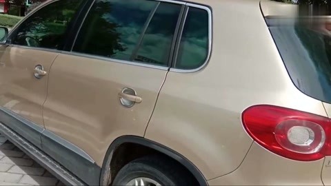 无码精品人成人片在线观看视频免费播放 人成人片最好多试几个