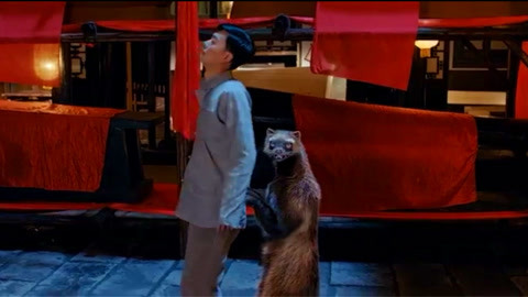 视频在线播放51