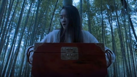 爱如潮水视频官网免费