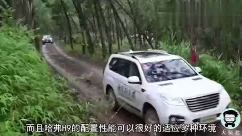 反差母狗舒筱煜 我非常乐意为你提供帮助