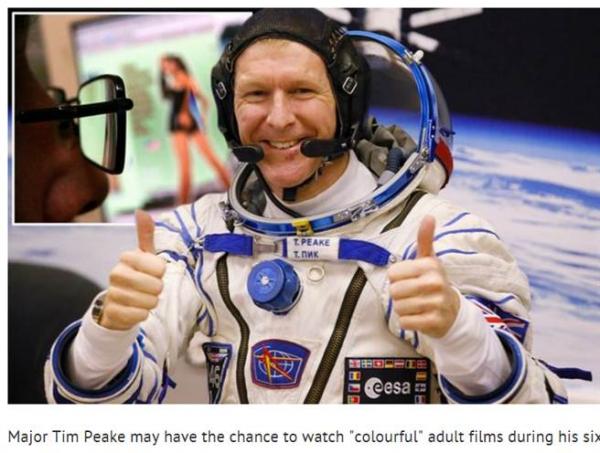 啄木鸟妻 啄木鸟妻寓意夫妻互补