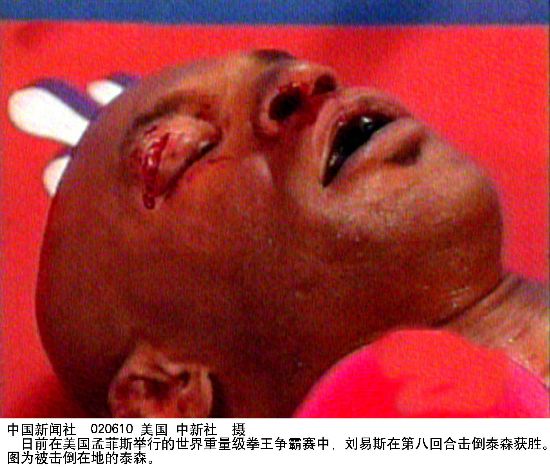 野荷塘在线观看