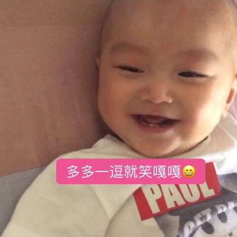 高清雏菊视频 我随时乐意为您提供帮助