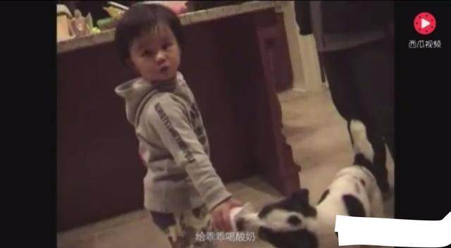 一本久久a久久精品 案例分析：以《红楼梦》为例