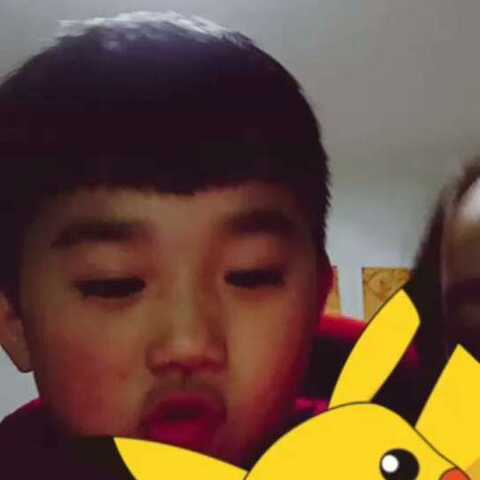 一本久久a久久精品 案例分析：以《红楼梦》为例