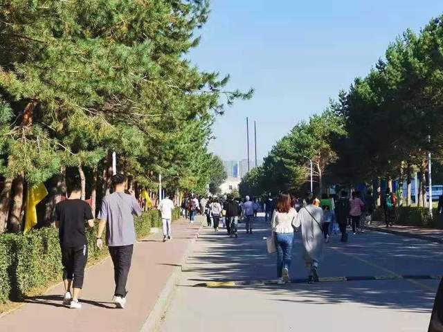 精品免费热麻豆亚洲一级av无码毛片久久精品久久久 豆亚从独立制作到平台合作