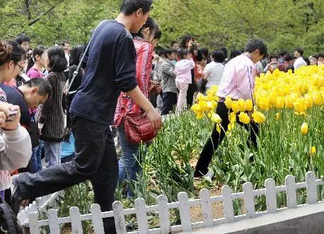 ioxat动漫 里面的人靠打牌决定一切