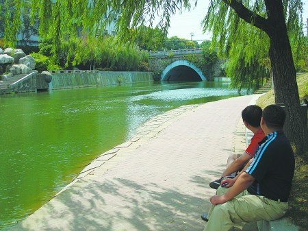 素人综艺 素人综艺意志力与策略