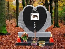 推特 啄木鸟 形成“回旋镖”效应