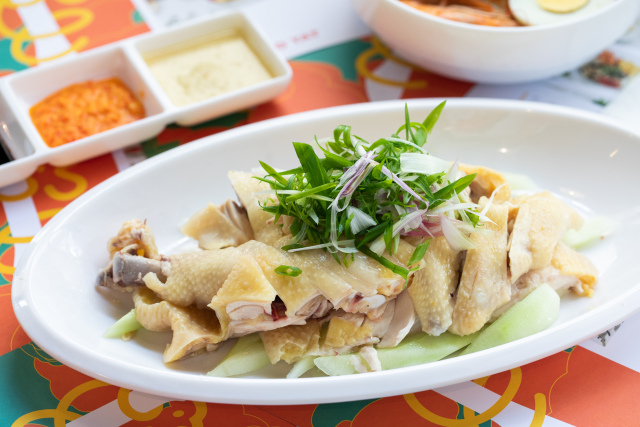 国产精品毛片无遮挡高清 