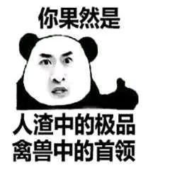 荣耀守则（荣耀准则）啄木鸟在线