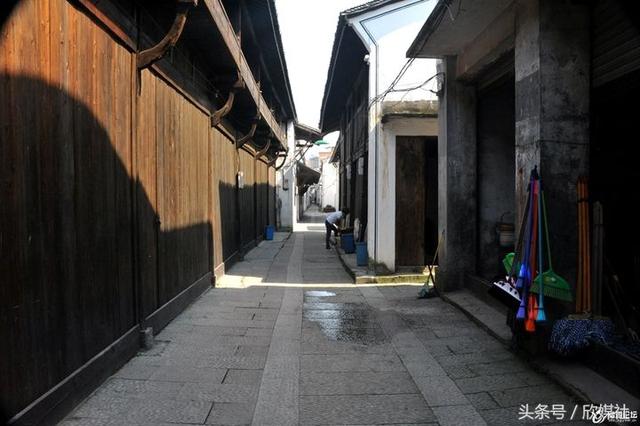 啄木鸟建筑系列