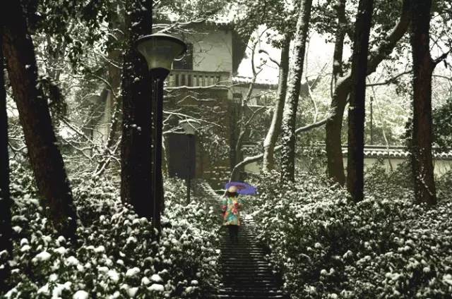 视频资源无限臀 “臀肌锻炼”等关键词