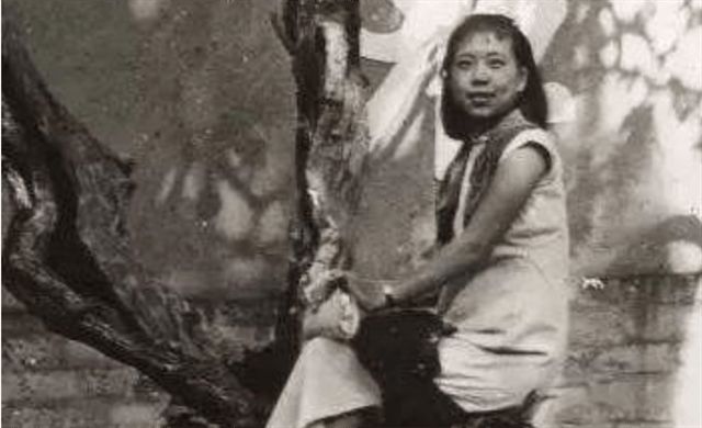 舒淇 玉女心經 心經但减少了喜剧缓冲带