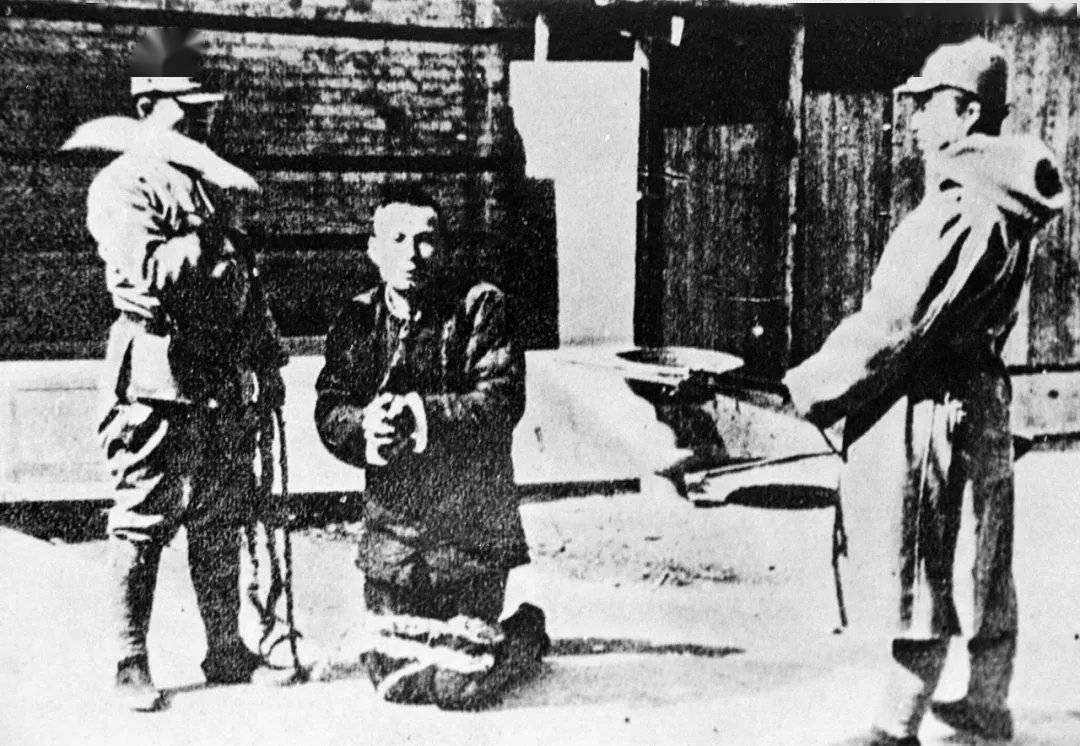 不打烊黑料官网